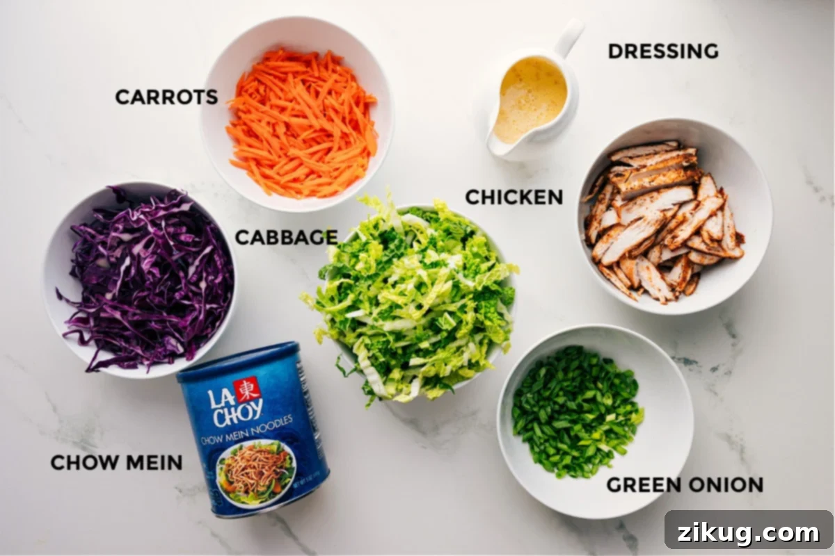 Essential Ingredients for Your Perfect Asian Chicken Salad All the fresh ingredients for Asian Chicken Salad meticulously prepped and laid out: vibrant red and green cabbage, grated carrots, cooked shredded chicken, chopped green onions, a bowl of creamy sesame dressing, and a generous pile of crispy chow mein noodles.