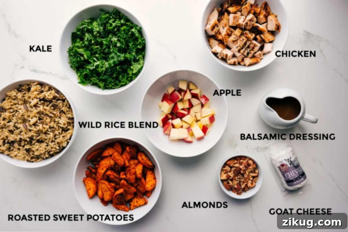Ingredients In Chicken Sweet Potato Recipe A beautifully arranged selection of fresh ingredients, including wild rice, vibrant kale, golden roasted sweet potatoes, crisp apple slices, cooked chicken, a bowl of rich balsamic dressing, crunchy almonds, and crumbled goat cheese, all prepped for an easy assembly.