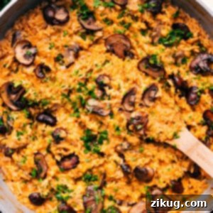 Smothered Chicken and Rice with a creamy sauce