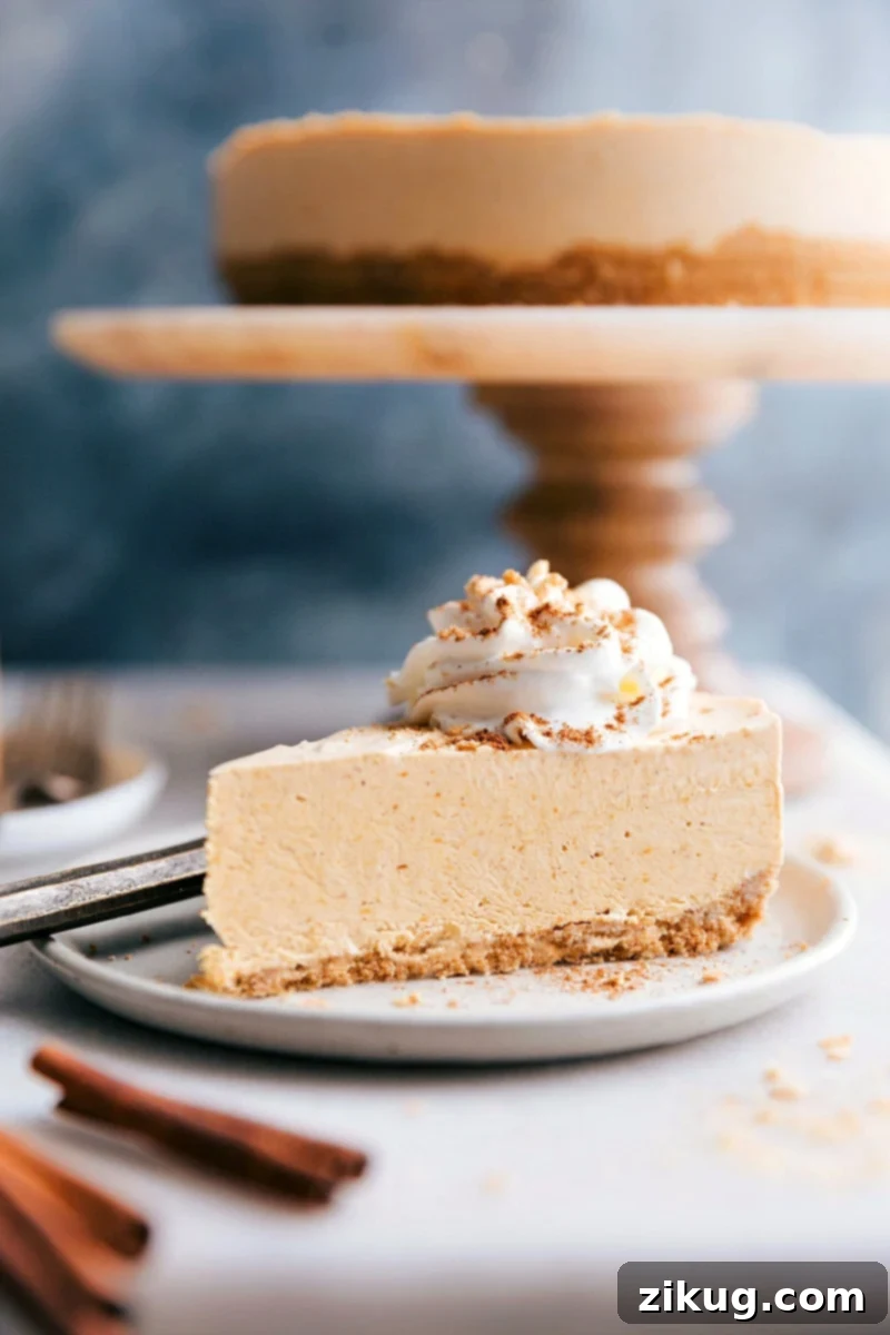 A Slice Of Pumpkin Cheesecake For The Ultimate Fall Dessert A luscious slice of no-bake pumpkin cheesecake, elegantly topped with a swirl of whipped cream, making it the ultimate fall dessert.