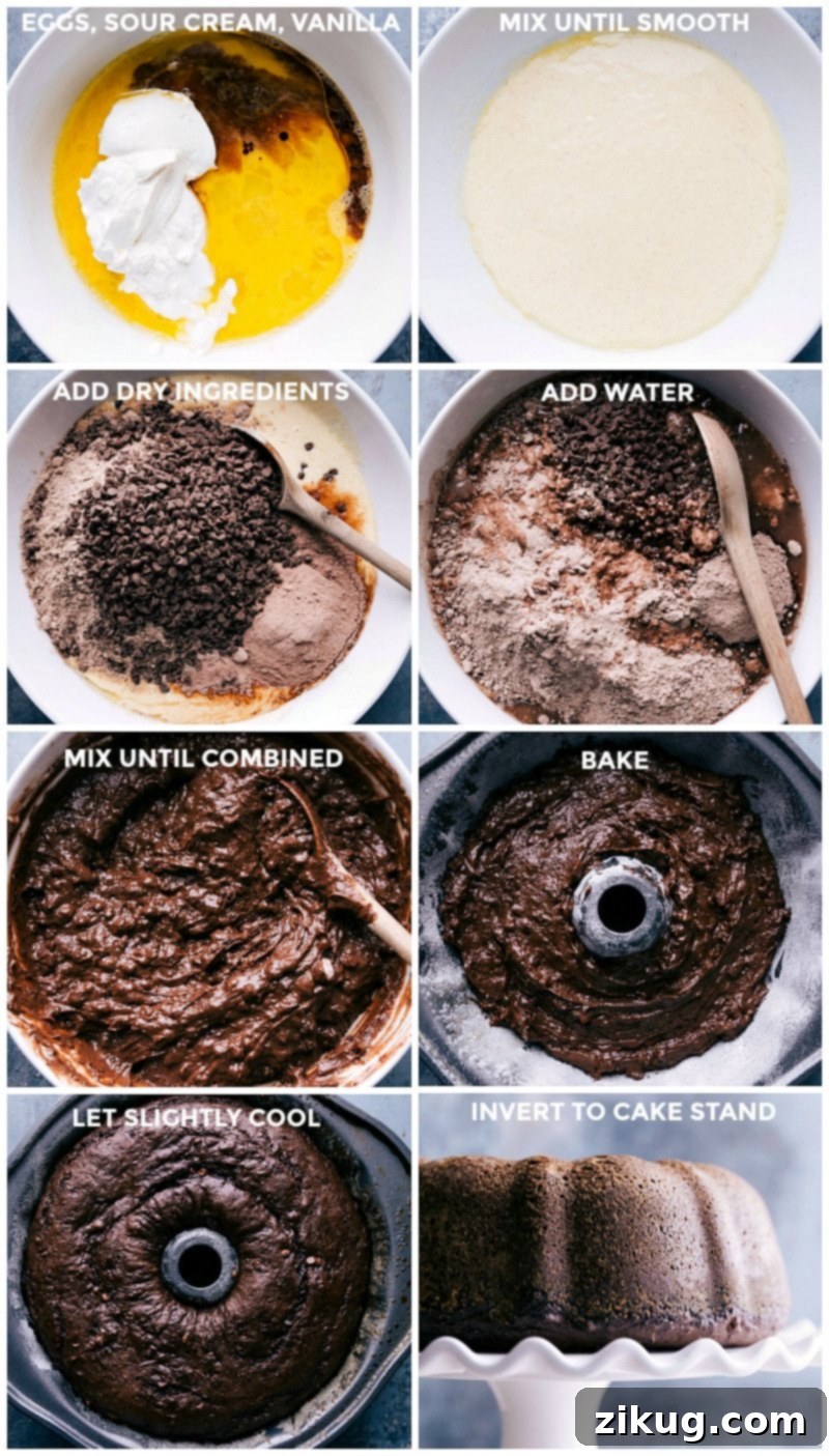 Creating Copycat Chocolate Bundt Cake from Scratch: Mixing, Pouring, and Baking Making copycat chocolate bundt cake from scratch: mixing wet and dry ingredients, pouring into a bundt pan, and baking.