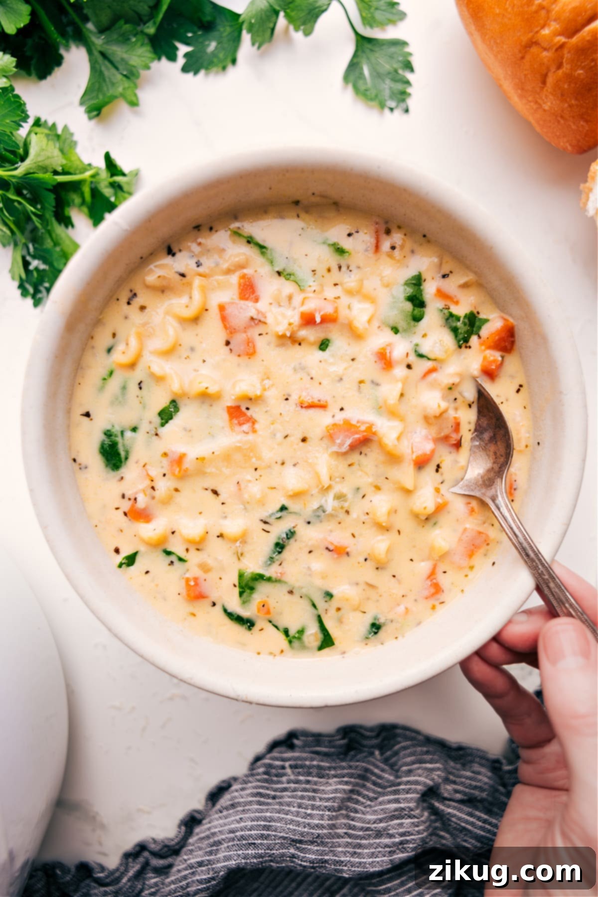 The Ultimate Comforting Dinner: White Chicken Lasagna Soup Served in a Bowl A bowl of White Chicken Lasagna Soup, garnished with Parmesan cheese, fresh parsley, and a hint of red pepper flakes.