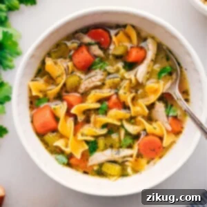 Chicken Noodle Soup in a bowl ready to be enjoyed.