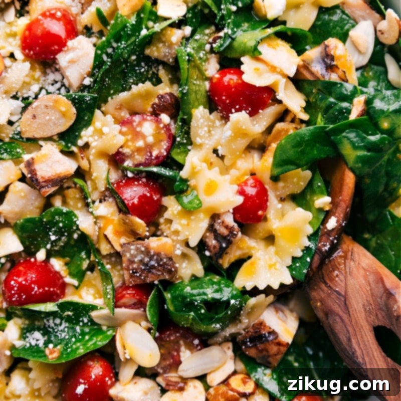 Tasty chicken, tiny pasta, lots of fresh veggies and a fruity citrus vinaigrette go into this Chicken Pasta Salad. What's not to love?! Recipe via ChelseasMessyApron. Close-up view of Chicken Pasta Salad featuring tasty chicken, tiny pasta, fresh veggies, and a fruity citrus vinaigrette.