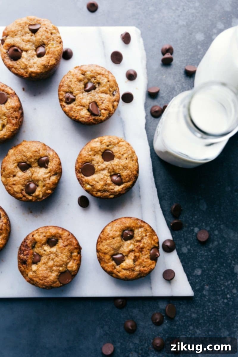 Freshly Baked Peanut Butter Banana Muffins with Chocolate Chip Topping Warm peanut butter banana muffins topped with chocolate chips, freshly baked and ready to enjoy.