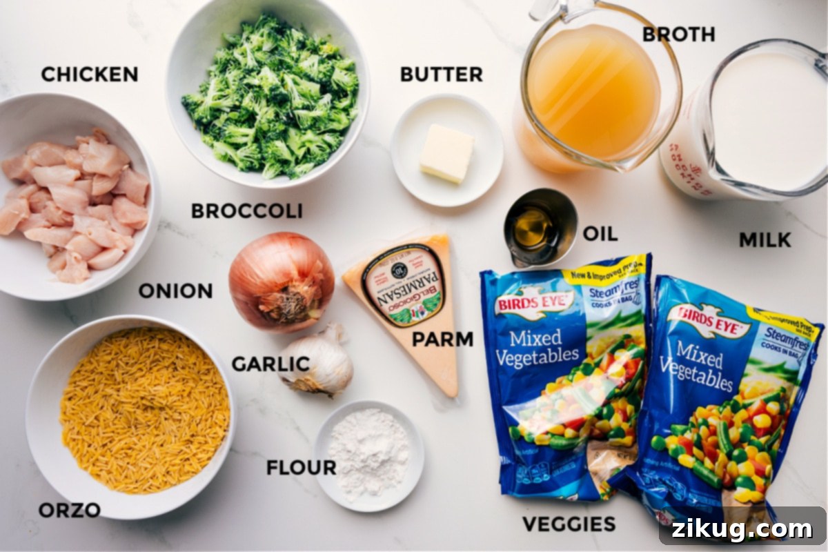 A vibrant display of fresh ingredients prepped for Creamy Orzo: chicken breast, orzo pasta, florets of broccoli, diced onion, minced garlic, all-purpose flour, unsalted butter, olive oil, a blend of frozen vegetables, rich chicken broth, and whole milk.