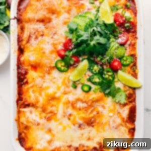 A top-down shot of a golden-brown Chicken Enchilada Casserole in a baking dish, garnished with fresh cilantro.