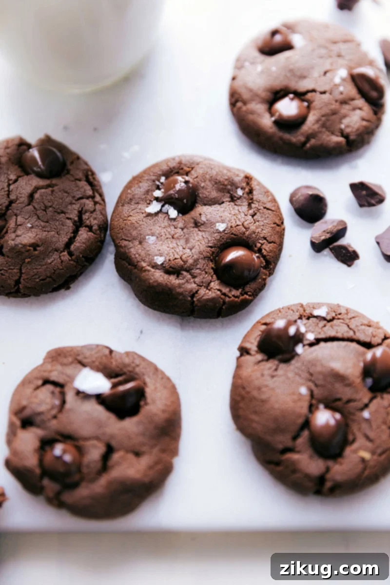 Perfectly Baked Healthy Chocolate Cookies Perfectly baked healthy chocolate cookies, golden brown and ready to be enjoyed as a delightful, wholesome treat.