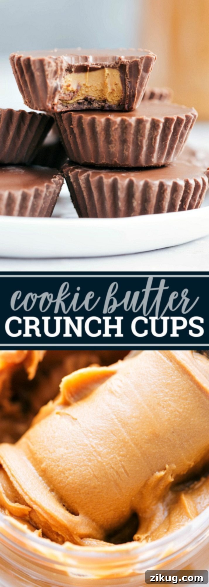 The ultimate BEST EVER Cookie Butter Crunch Cups! Only 6 ingredients and 10 minutes prep! Read the rave reviews!! via chelseasmessyapron.com