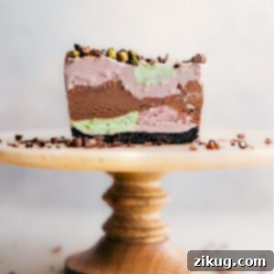 Homemade Spumoni Ice Cream bars ready to be served.