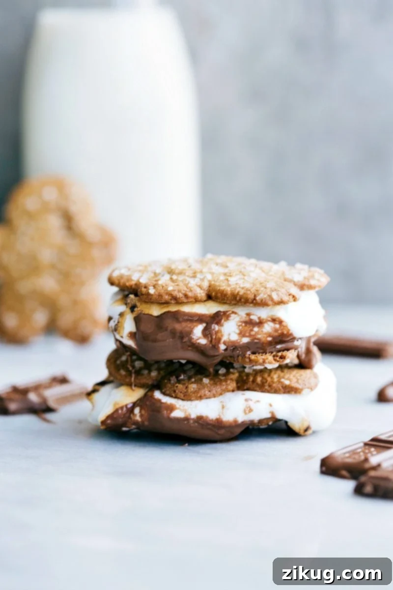 These fun candies/treats are put in a snack-size plastic bag and you can staple on the FREE printable bag toppers! Recipe via chelseasmessyapron #festive #holidays #simple #quick #treats #snacks #reindeer #mrsclaus #easy #christmas #gifts Image of the made-up Christmas Gingerbread S'mores