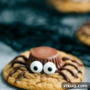 A delicious peanut butter spider cookie with chocolate legs and expressive candy eyes.