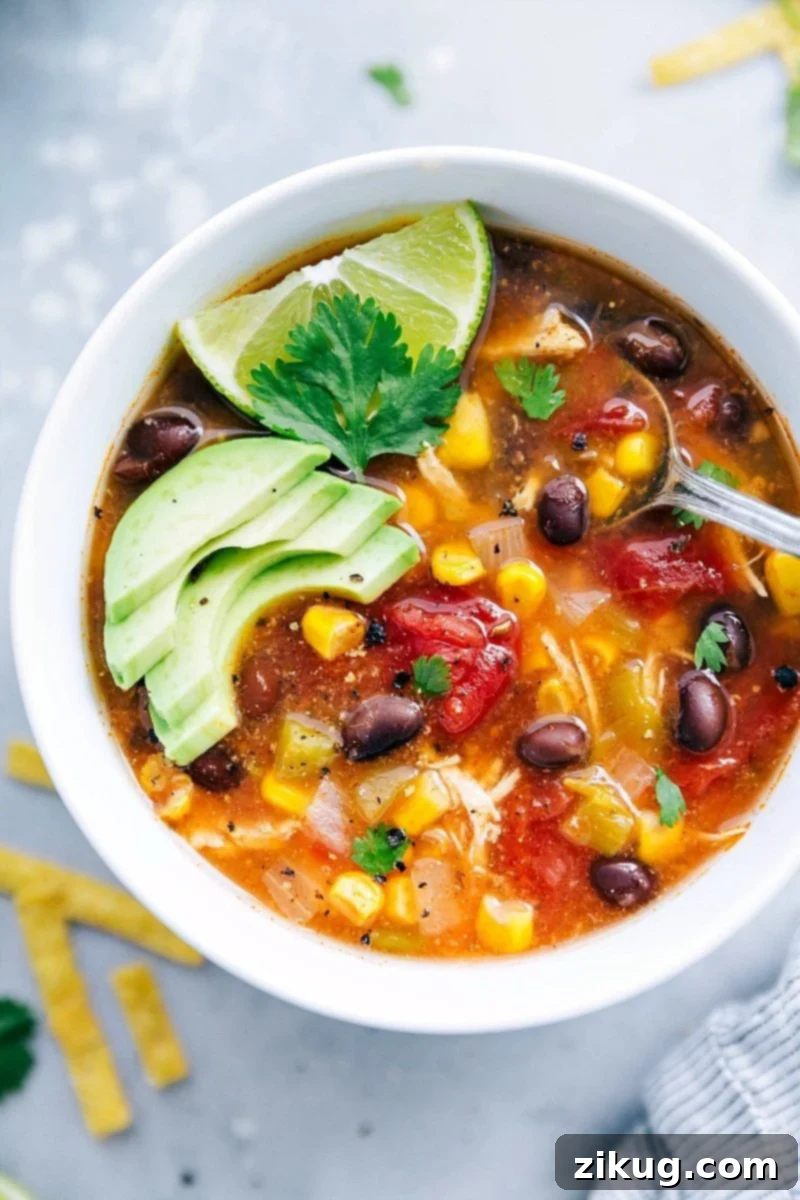 Instant Pot Chicken Tortilla Soup is the easiest, dump-it-and-forget-it kind of meal! Tender shredded chicken, savory black beans, crisp corn, fire-roasted tomatoes, and a rich well-seasoned broth come together to deliver an unforgettable soup! Top your bowl with plenty of tortilla strips, a handful of cheese, a scoop of sour cream, and anything else you like atop your tortilla soup. Recipe via ChelseasMessyApron.com #dinner #quick #easy #simple #best #beans #corn #healthy #familyfriendly #kidfriendly #instantpot #chicken #tortilla #soup Overhead image of a vibrant bowl of Instant Pot Chicken Tortilla Soup, garnished with fresh cilantro, cheese, and tortilla strips.