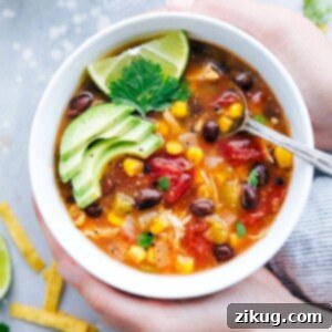 Quick Instant Pot Chicken Tortilla Soup 2 Instant Pot Chicken Tortilla Soup in a bowl