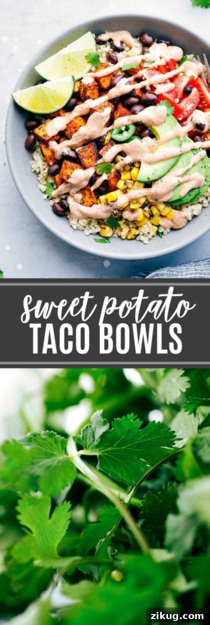 Sweet Potato Power Bowl 2 The ultimate BEST EVER sweet potato taco bowls! A vibrant and healthy meatless meal idea.