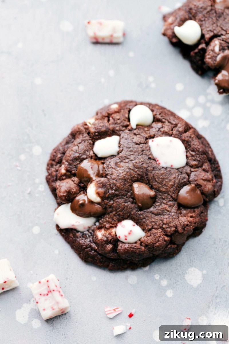 Simple And Delicious Mason Jar Peppermint Cookies Ready to Enjoy Freshly baked Peppermint Cookies, warm from the oven, inviting you to take a bite.