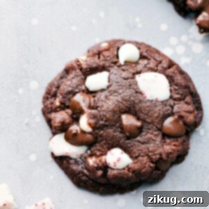 Finished Peppermint Bark Cookies