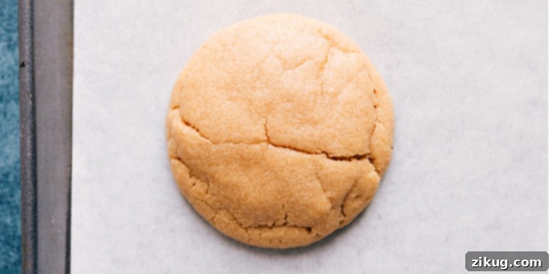 A perfectly baked, irresistible Peanut Butter Cookie, ready to be enjoyed. An overhead view of a freshly baked, perfectly golden-brown peanut butter cookie resting on a cooling rack, showcasing its soft texture.
