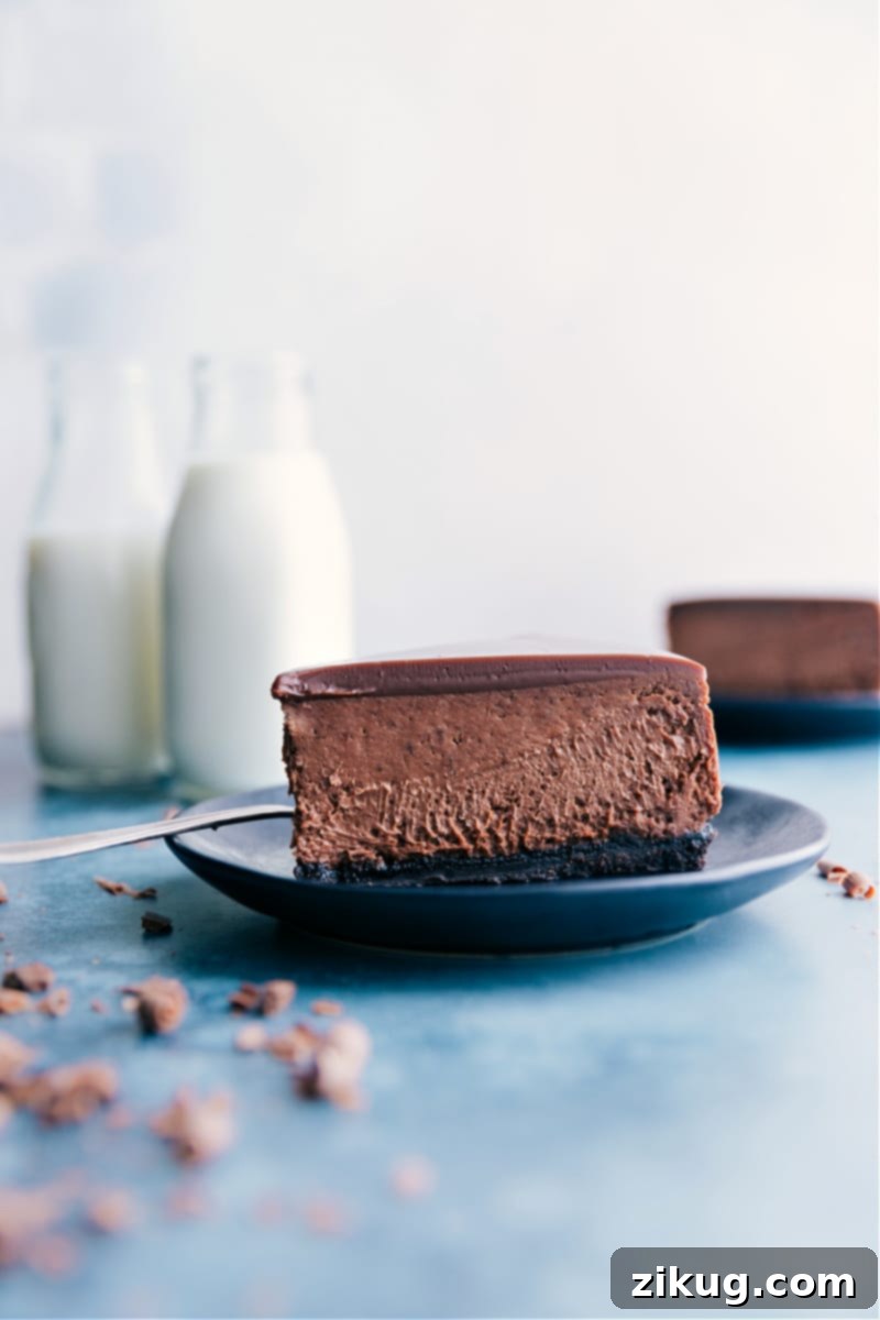 A slice of Chocolate Cheesecake ready to be eaten, showcasing its layers