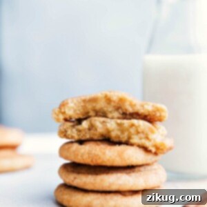 The Only Snickerdoodle Recipe You Need 2 Close-up image of soft and chewy Snickerdoodle cookies.