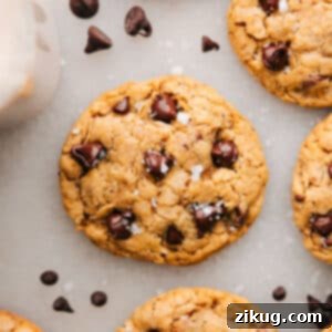 Delicious Brown Butter Oatmeal Chocolate Chip Cookies