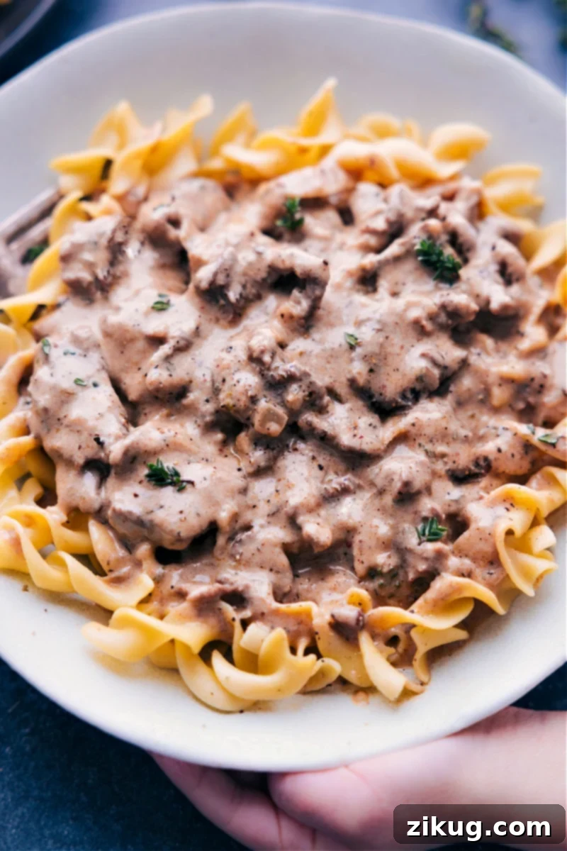 Delicious Beef Stroganoff with tender beef and creamy sauce over egg noodles. Close-up overhead view of a steaming plate of Beef Stroganoff, ready to be served, garnished with fresh herbs.