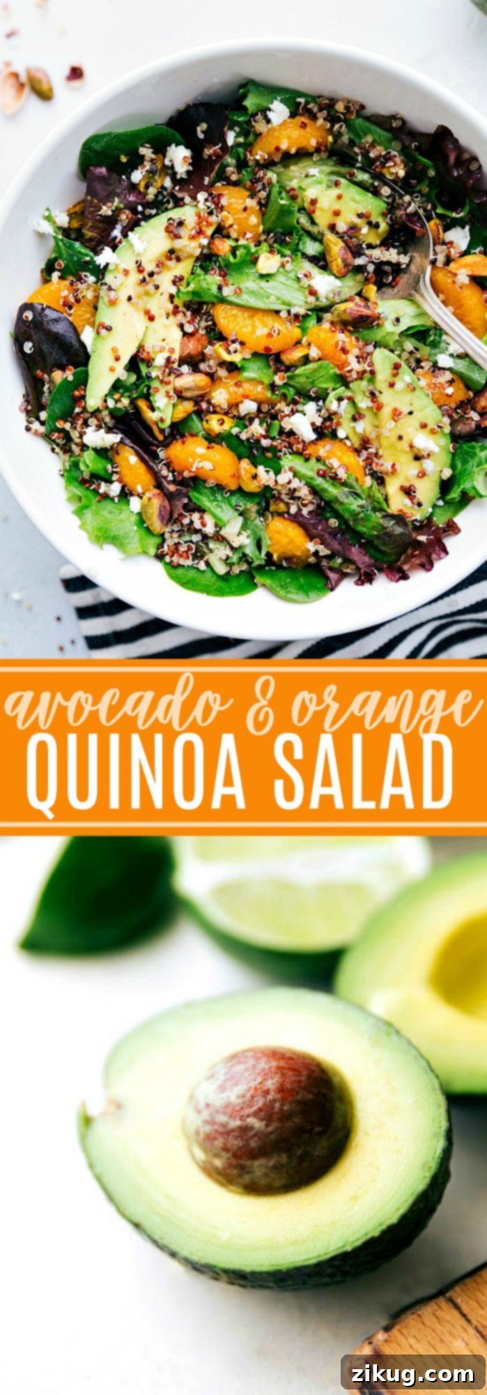 DELICIOUS powerhouse AVOCADO QUINOA SALAD with the best healthy dressing! via chelseasmessyapron.com | #salad #quinoa #mixedgreens #lettuce #healthy #protein #vegetarian #easy #quick #familyfriendly #orange #avocado #nutrition #health #wellness