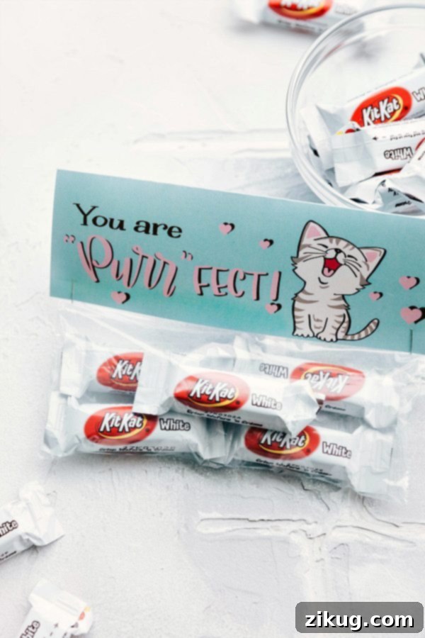 Effortless Valentine's Day Gift Ideas 4 Purrfect kitty themed Valentine's Day gift bag with Kit-Kats.