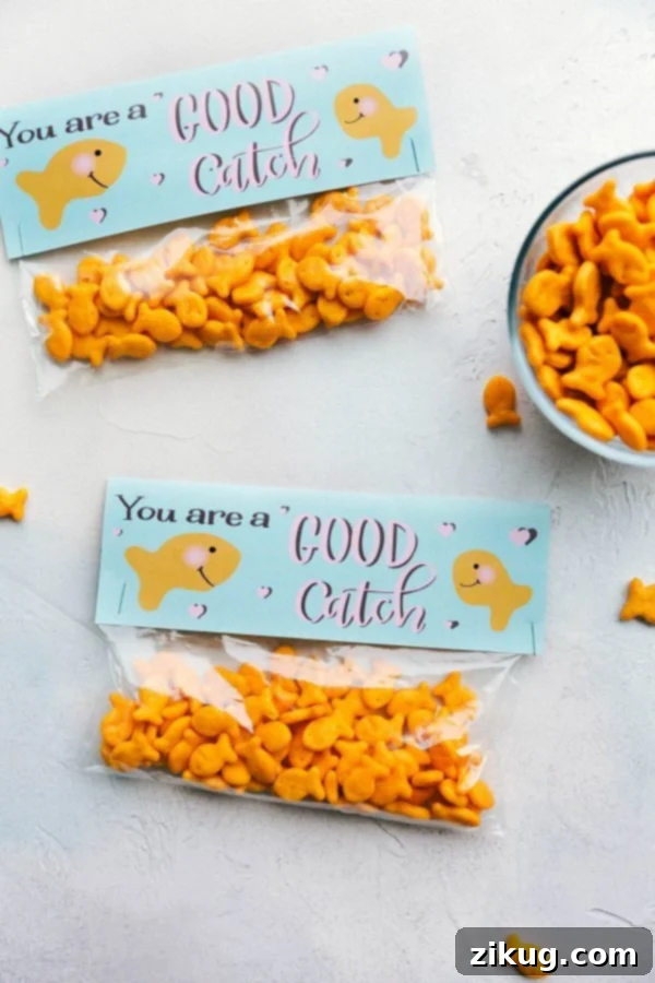 Effortless Valentine's Day Gift Ideas 5 You are a good catch themed Valentine's Day gift bag with Goldfish crackers.
