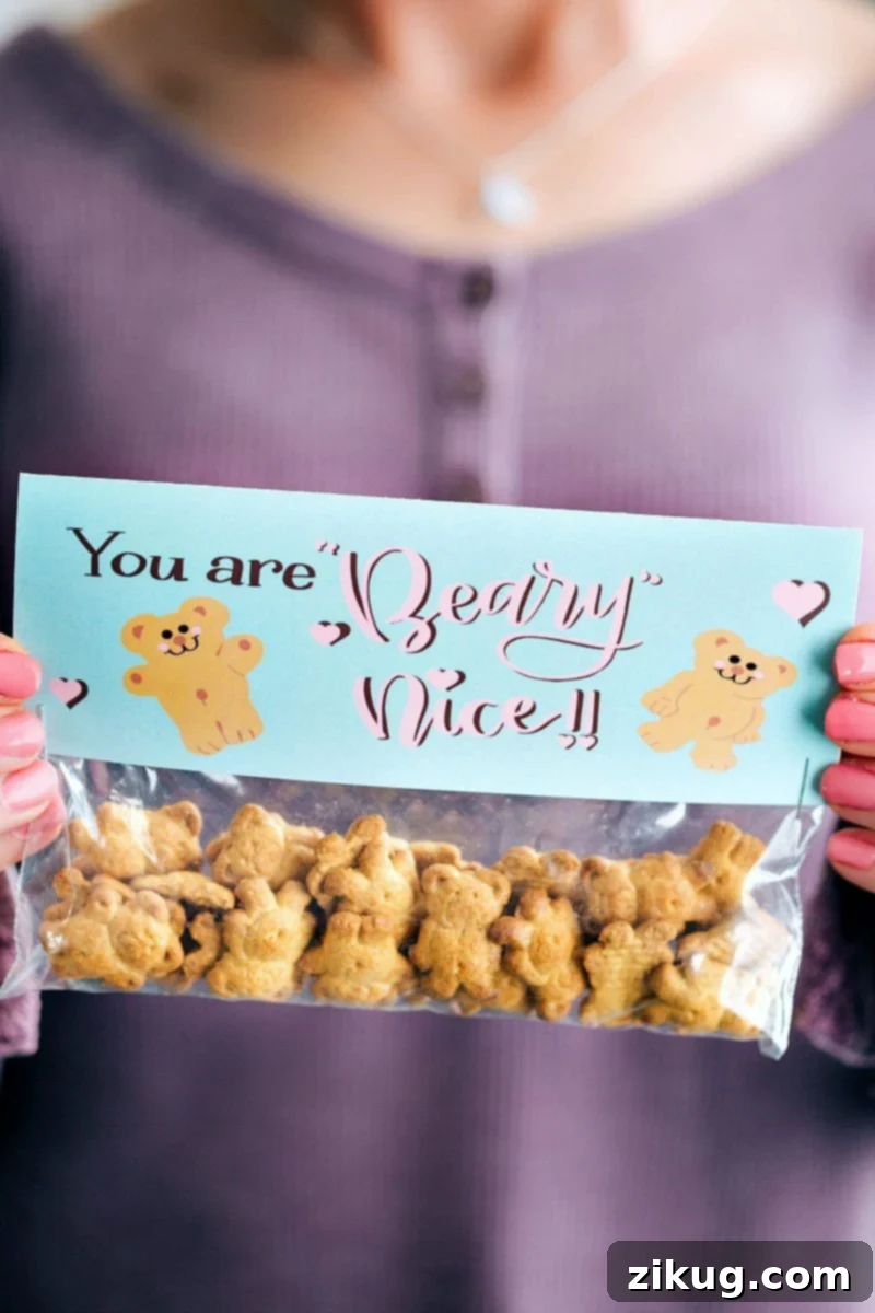 Valentine's Day Gifting Made Simple 3 Adorable 'You Are Beary Nice' Teddy Grahams gift bag with a charming bear-themed printable topper