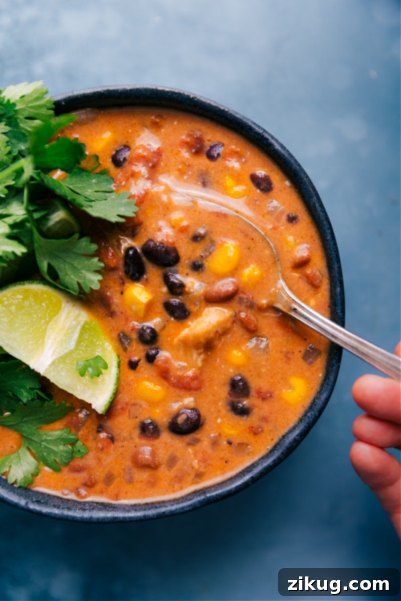Simple and Delicious Weeknight Chicken Tortilla Soup Recipe A vibrant bowl of Creamy Chicken Tortilla Soup, garnished with fresh cilantro, a dollop of sour cream, and crispy tortilla strips, with a spoon dipping into its rich depths.