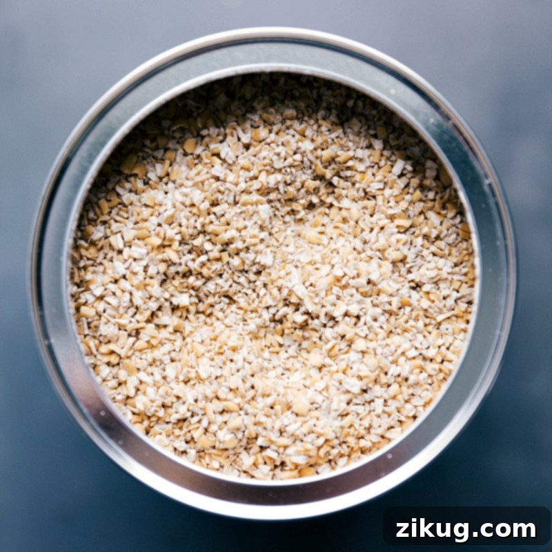 Container Filled with Raw Steel-Cut Oats Raw steel cut oats stored neatly in a container, ready for cooking.