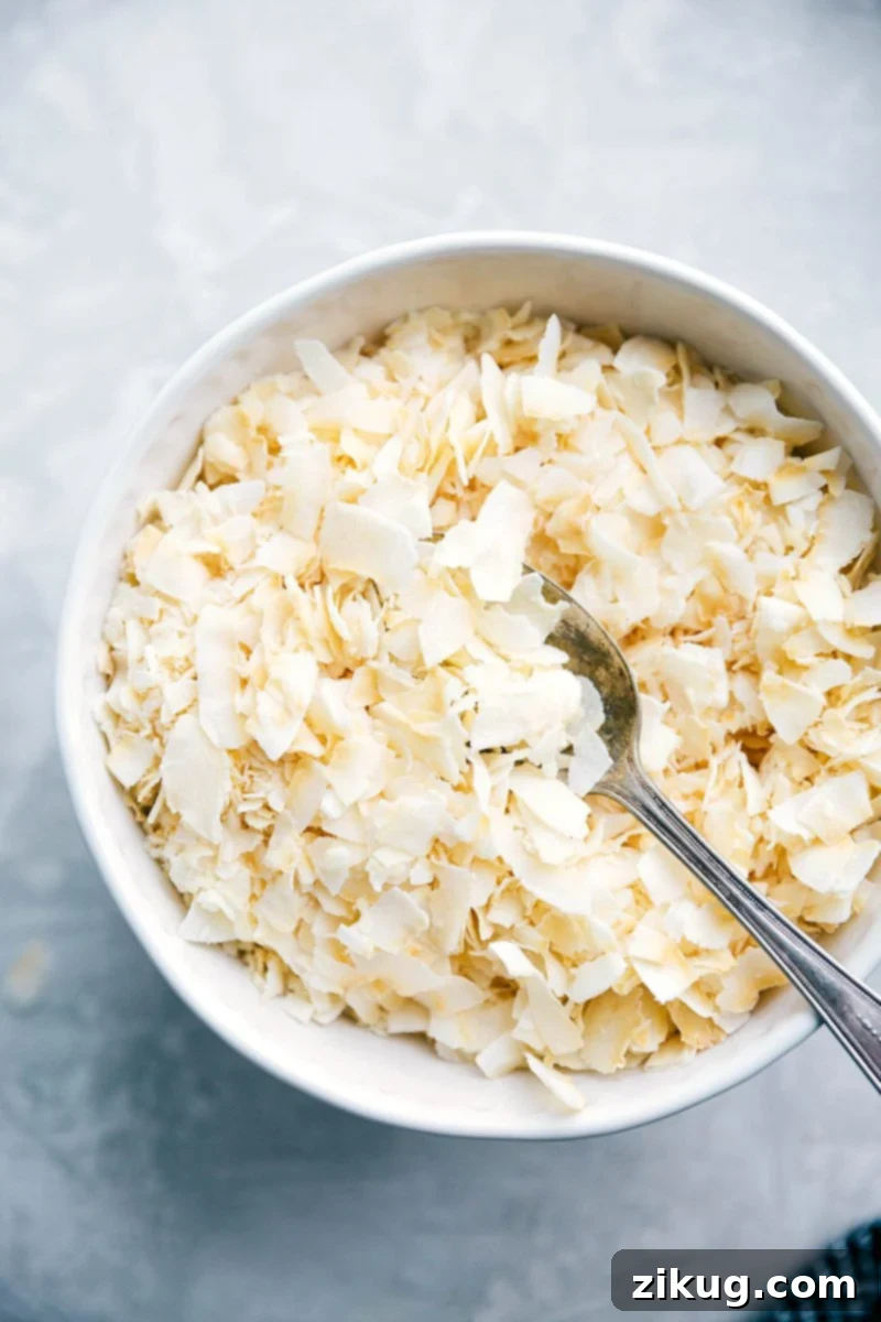 Toasted coconut flakes with teriyaki chicken and coconut rice Golden toasted coconut flakes ready to garnish a dish.