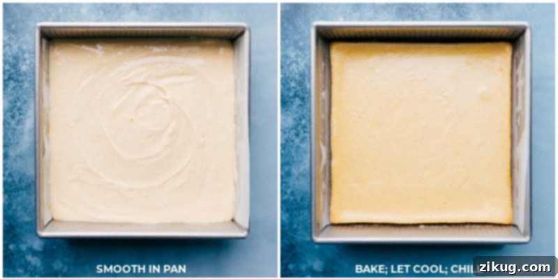 Images of freshly baked vanilla cheesecake bars, showing their golden crust and creamy, set filling.