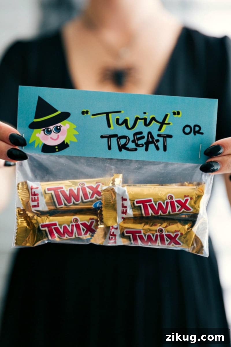 6 fun and festive easy Halloween bags filled with delicious treats! These candies/treats are put in a snack-size ziplock bag and you can staple on the FREE printable bag toppers! via chelseasmessyapron.com #halloween #gift #favor #party #dessert #candy #treat #easy #quick #free #printable #witch #pumpkin #dracula #zombie #mummy #ghost #skeleton #monster #zombies #kids #healthy #healthier #simple #fun #halloween #decor A collection of six fun and festive easy Halloween treat bags, each filled with delicious candies and treats. The bags feature free printable toppers like a witch, pumpkin, and Dracula, secured with staples. Perfect for Halloween gifts, party favors, or simple, quick, and fun Halloween decor.