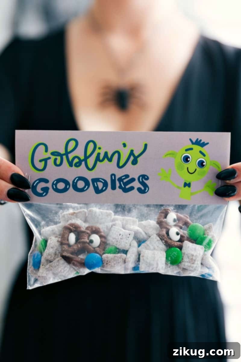 6 fun and festive easy Halloween bags filled with delicious treats! These candies/treats are put in a snack-size ziplock bag and you can staple on the FREE printable bag toppers! via chelseasmessyapron.com #halloween #gift #favor #party #dessert #candy #treat #easy #quick #free #printable #witch #pumpkin #dracula #zombie #mummy #ghost #skeleton #monster #zombies #kids #healthy #healthier #simple #fun #halloween #decor A festive Halloween treat bag featuring a 'Goblin Goodies' theme, filled with a delicious Muddy Buddies recipe with M&Ms and chocolate-covered monster pretzels. The bag is sealed with a free printable topper, part of a set of 6 easy and fun Halloween ideas for gifts, favors, or parties.