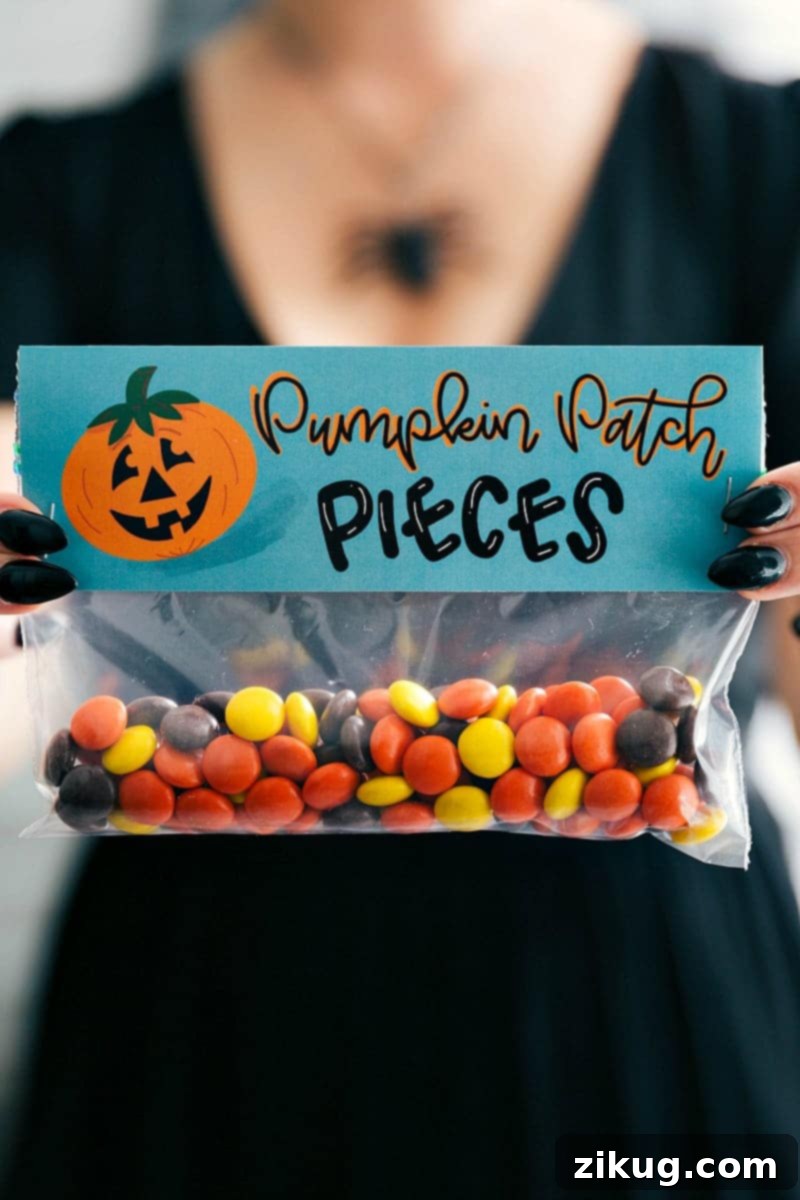 6 fun and festive easy Halloween bags filled with delicious treats! These candies/treats are put in a snack-size ziplock bag and you can staple on the FREE printable bag toppers! via chelseasmessyapron.com #halloween #gift #favor #party #dessert #candy #treat #easy #quick #free #printable #witch #pumpkin #dracula #zombie #mummy #ghost #skeleton #monster #zombies #kids #healthy #healthier #simple #fun #halloween #decor A festive Halloween treat bag featuring a 'Pumpkin Patch Pieces' theme, filled with delicious Reese's Pieces. The bag is sealed with a free printable topper, part of a set of 6 easy and fun Halloween ideas for gifts, favors, or parties.