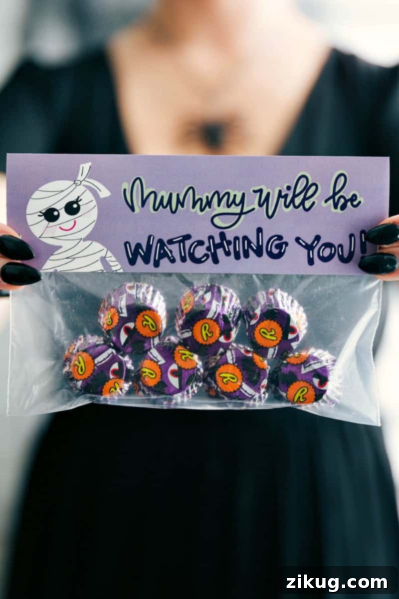 6 fun and festive easy Halloween bags filled with delicious treats! These candies/treats are put in a snack-size ziplock bag and you can staple on the FREE printable bag toppers! via chelseasmessyapron.com #halloween #gift #favor #party #dessert #candy #treat #easy #quick #free #printable #witch #pumpkin #dracula #zombie #mummy #ghost #skeleton #monster #zombies #kids #healthy #healthier #simple #fun #halloween #decor A festive Halloween treat bag featuring a 'Mummy Will Be Watching You' theme, filled with delicious eyeball candies. The bag is sealed with a free printable topper, part of a set of 6 easy and fun Halloween ideas for gifts, favors, or parties.