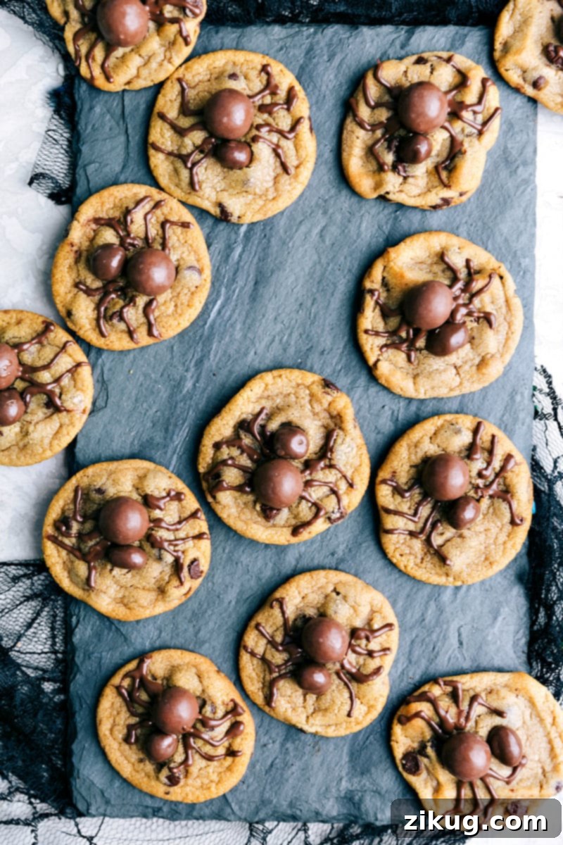 Only four ingredients to make these festive, fun, and most importantly DELICIOUS Halloween cookies! Halloween cookies decorated to look like cute spiders on chocolate chip cookies.