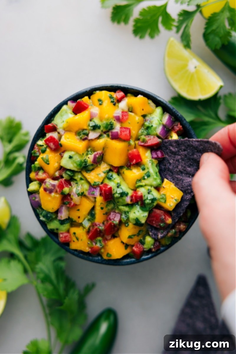 This Mango Salsa is the recipe we reach for when mangoes are at their peak of ripeness! It's an effortless blend that's brimming with flavor and textural diversity. Not only does it pair well with a wide variety of dishes, but it also shines as a standalone side dish. It's particularly delicious when enjoyed with some crisp, salted tortilla chips! Recipe via chelseasmessyapron #snack #quick #easy #simple #summerside #sidedish #avocado #mango #salsa A close-up overhead shot of a crispy tortilla chip dipping into a generous scoop of colorful mango salsa, illustrating its perfect chunky texture.
