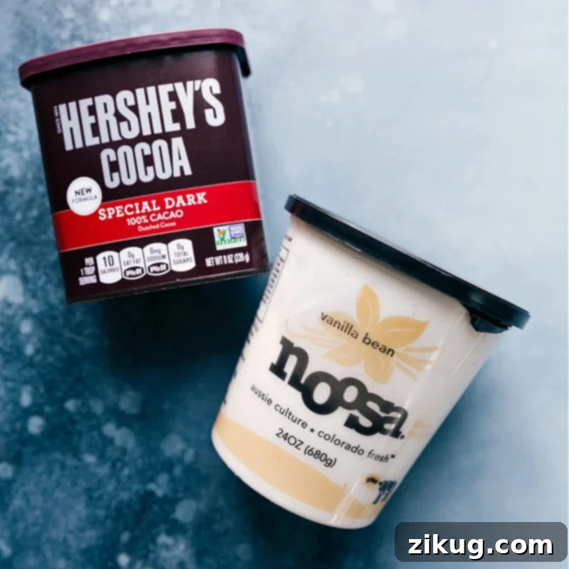 Essential Ingredients for Creamy Chocolate Frozen Yogurt: Dutch-process cocoa and rich full-fat yogurt. Close-up of high-quality cocoa powder and thick vanilla yogurt, key ingredients for rich chocolate frozen yogurt.
