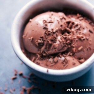 Velvet Chocolate Freeze 2 Rich chocolate frozen yogurt in a bowl with a spoon.