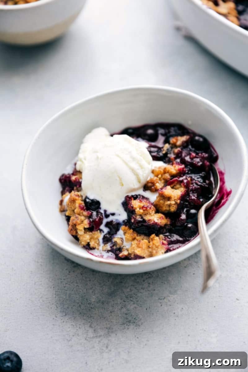 Blueberry Crumble 4 The finished, freshly baked dessert in a bowl, featuring a golden crumble topping and juicy filling, topped with a scoop of creamy vanilla ice cream, ready to be enjoyed.