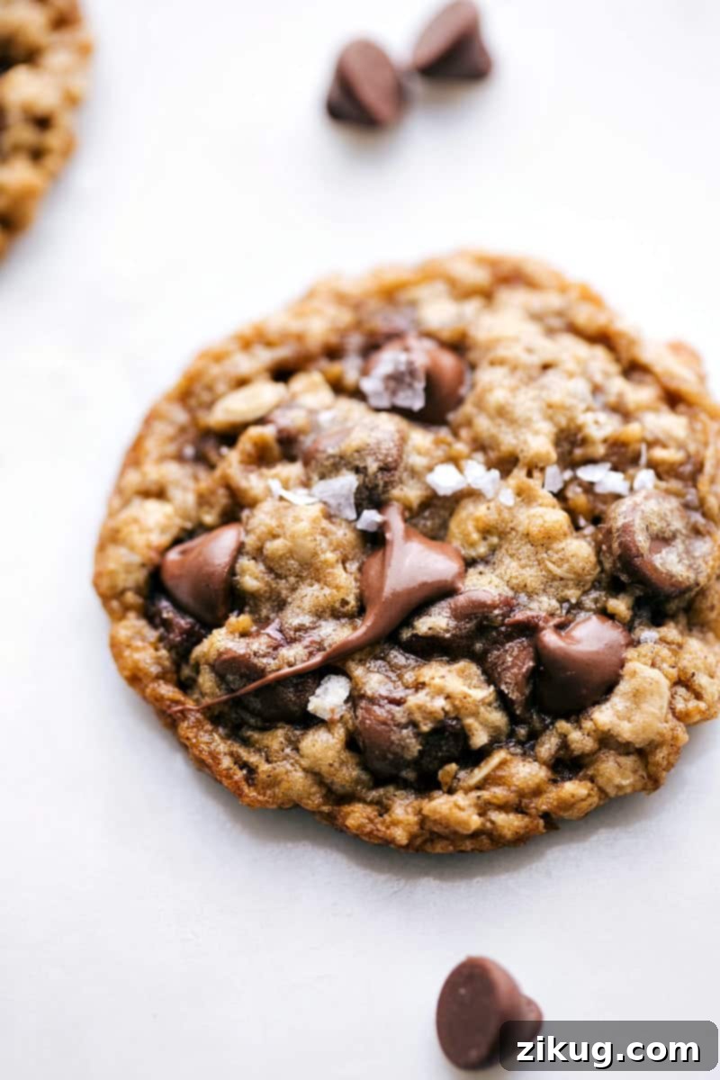 Close-up shot of warm, soft, and chewy Oatmeal Chocolate Chip Cookies fresh from the oven, with melted chocolate chips