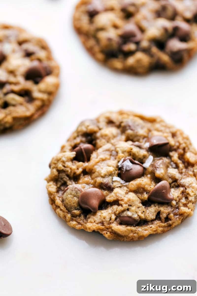 Side angle shot of a stack of fresh, soft, and chewy Oatmeal Chocolate Chip Cookies