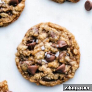 Delicious Oatmeal Chocolate Chip Cookies