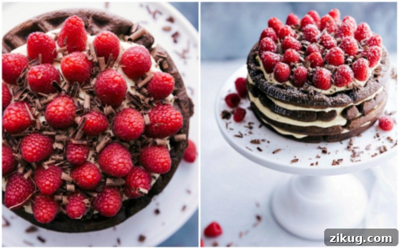 Completed dessert showcasing its top adorned with vibrant fresh raspberries and delicate chocolate shavings, ready to be served.