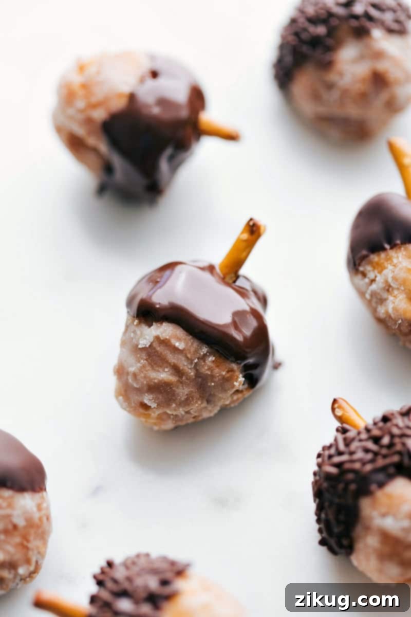 Beautifully Crafted Acorn Donut Holes, Ready to Serve Finished dessert perfect for any fall gathering, delicious and easy to make.
