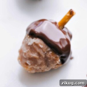 Acorn Doughnut Bites 2 Donut hole with the top dipped in chocolate and a pretzel coming out, resembling an acorn.