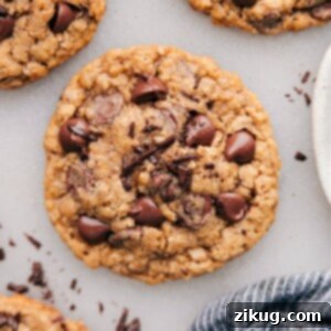 Delicious Coconut Oil Oatmeal Cookies with melty chocolate, ready to be served on a cooling rack.